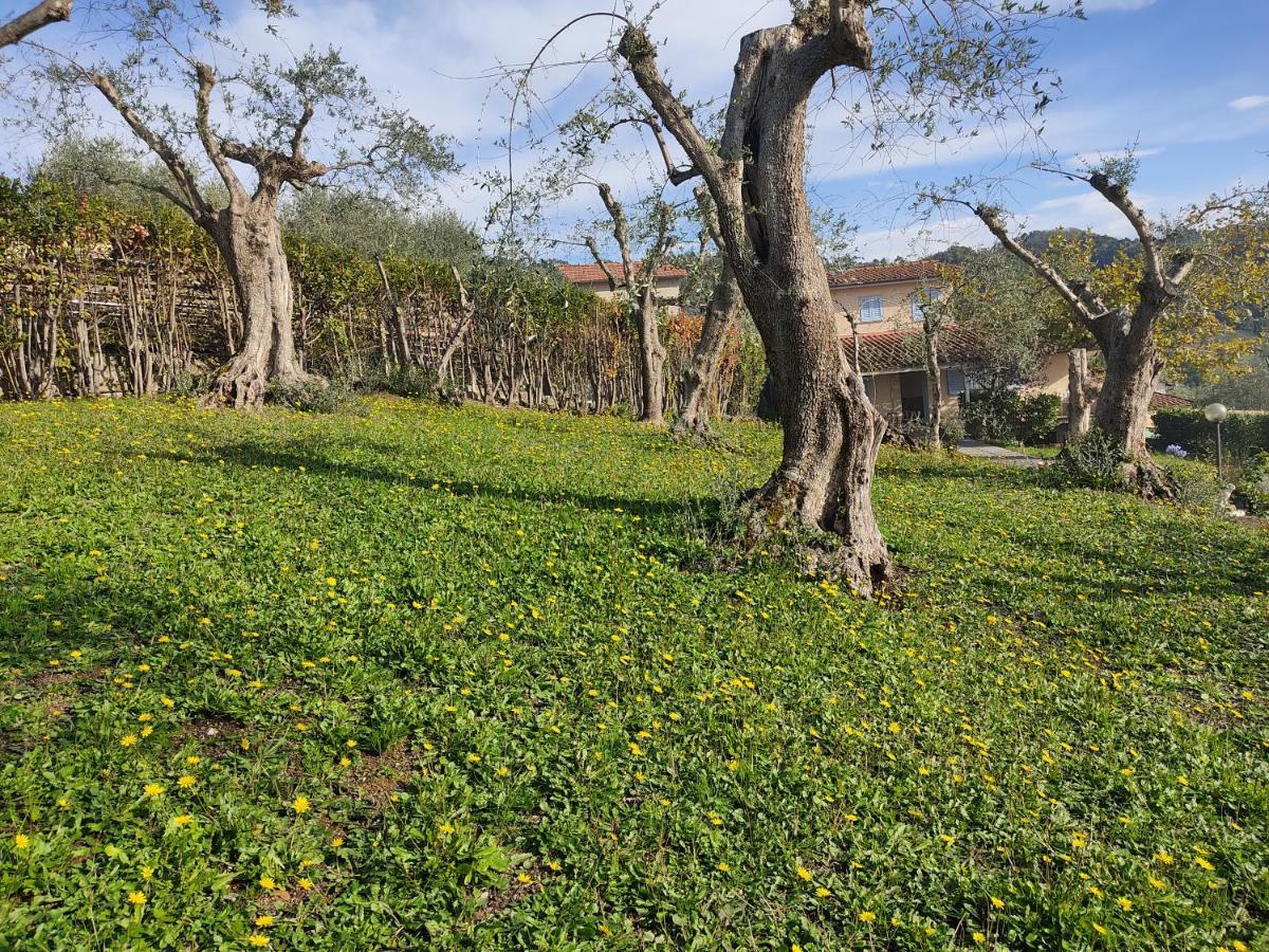 La Tana Del Geco Villa Massarosa Luaran gambar