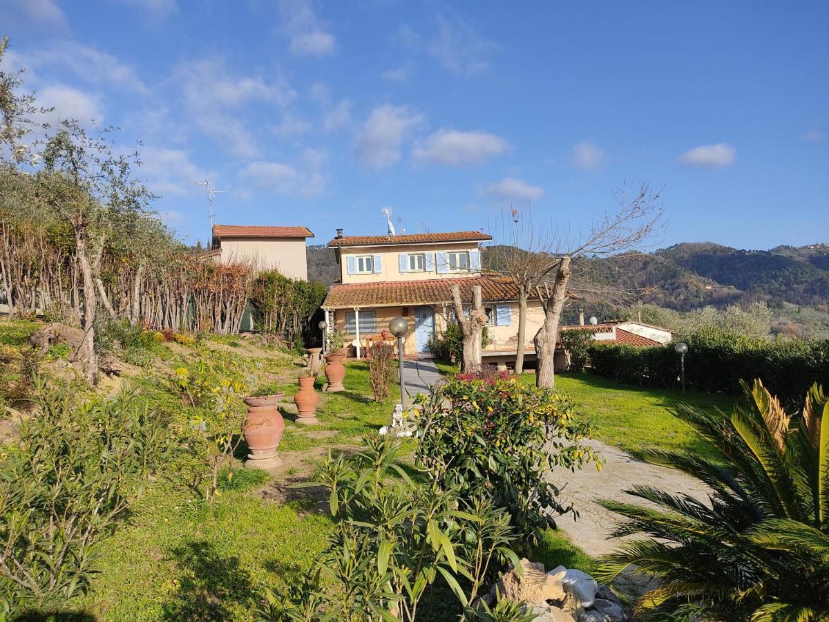 La Tana Del Geco Villa Massarosa Luaran gambar