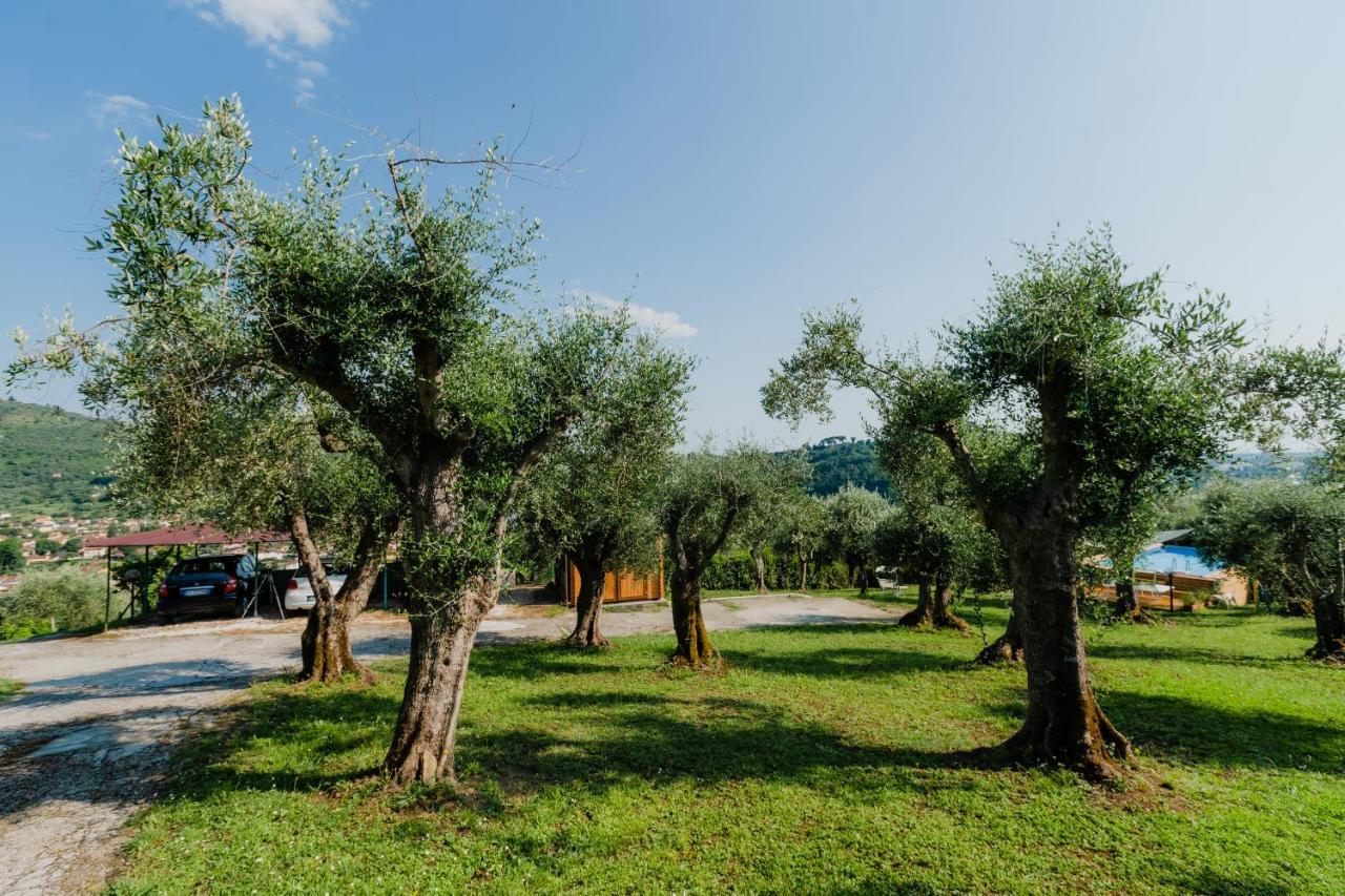 La Tana Del Geco Villa Massarosa Luaran gambar
