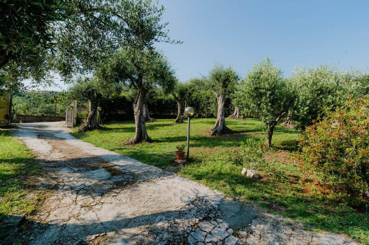 La Tana Del Geco Villa Massarosa Luaran gambar